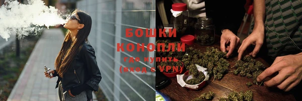 амф Богданович
