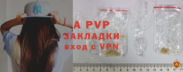 PSILOCYBIN Богородск