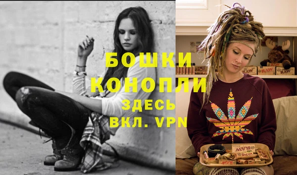 PSILOCYBIN Богородск