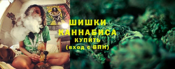 амф Богданович