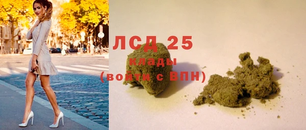 PSILOCYBIN Богородск