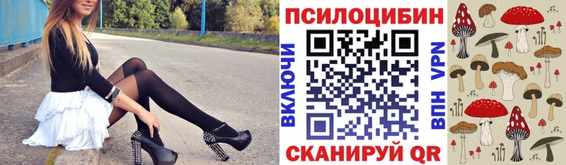 hydra ссылки  Малоярославец  Галлюциногенные грибы ЛСД 
