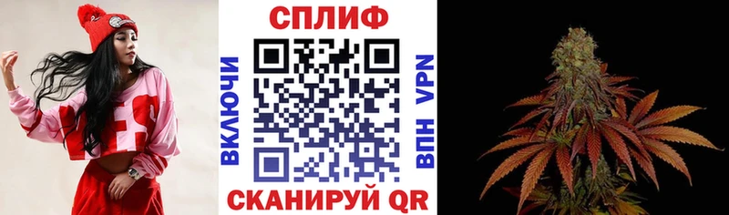 Марихуана конопля  Малоярославец 